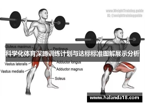 科学化体育深蹲训练计划与达标标准图解展示分析