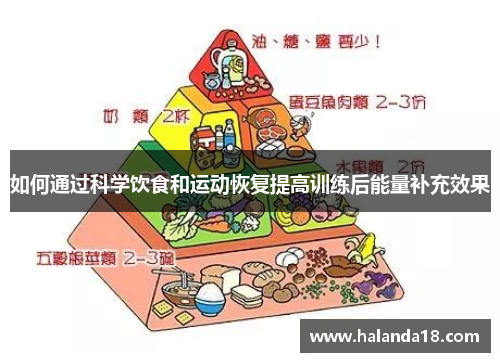如何通过科学饮食和运动恢复提高训练后能量补充效果