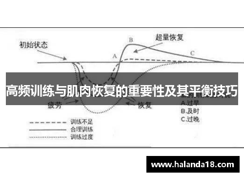 高频训练与肌肉恢复的重要性及其平衡技巧